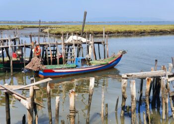 Porto palafita da Carrasqueira