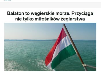 Business Insider Polska – Balaton